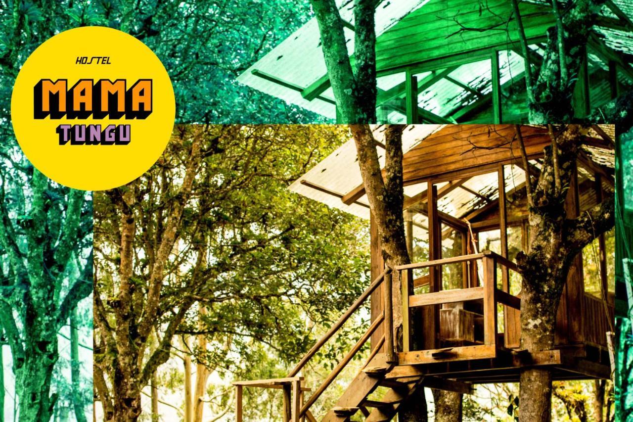 Mama Tungu Hostel บาญอส ภายนอก รูปภาพ